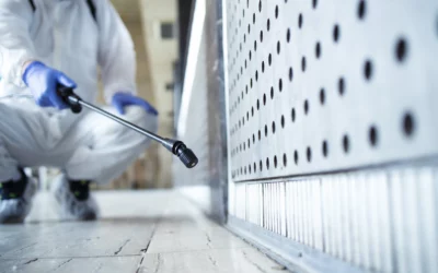 Guêpes, frelons, rats… Ces nuisibles qui foisonnent l’été.